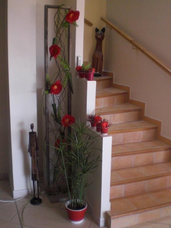 Chambres D'Hotes Coteaux Sud Jurançon Екстериор снимка
